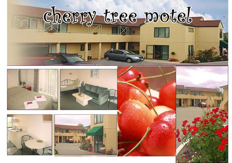 Cherry Tree Lodge Motel Christchurch Exterior photo