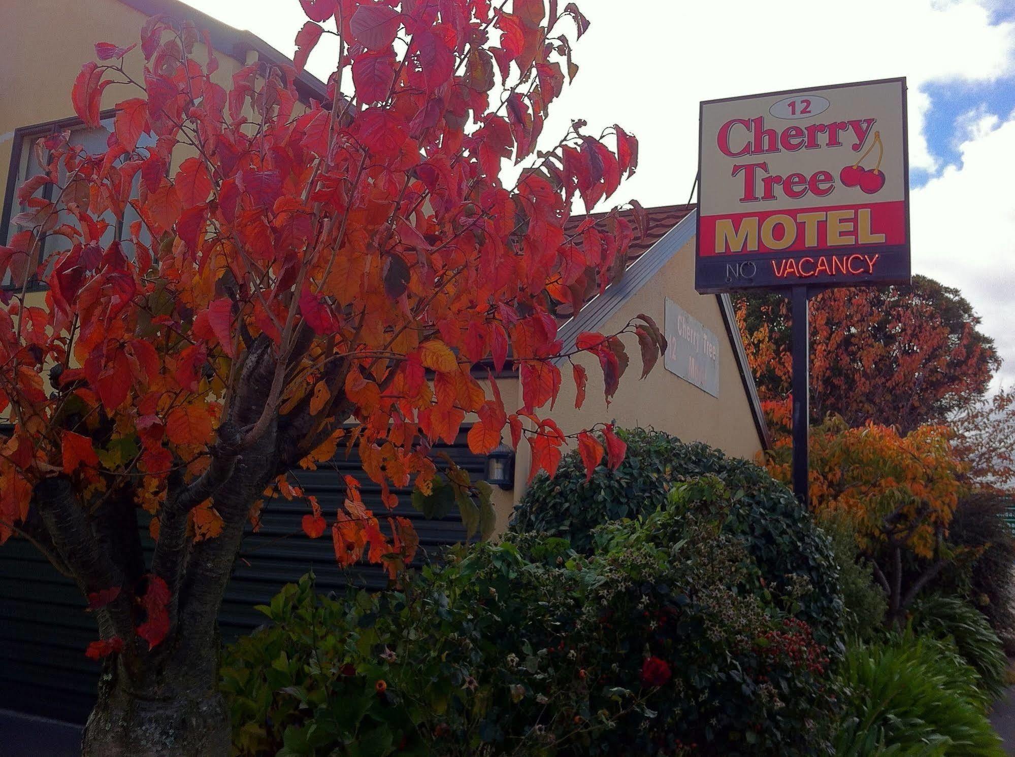 Cherry Tree Lodge Motel Christchurch Exterior photo
